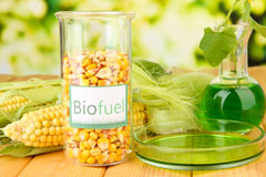 Signet biofuel availability